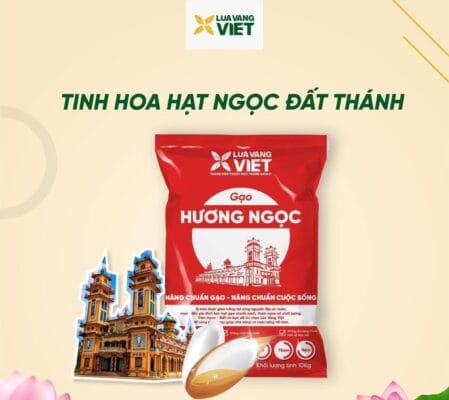 Gạo Hương Ngọc - Tinh Hoa Hạt Ngọc Đất Thánh