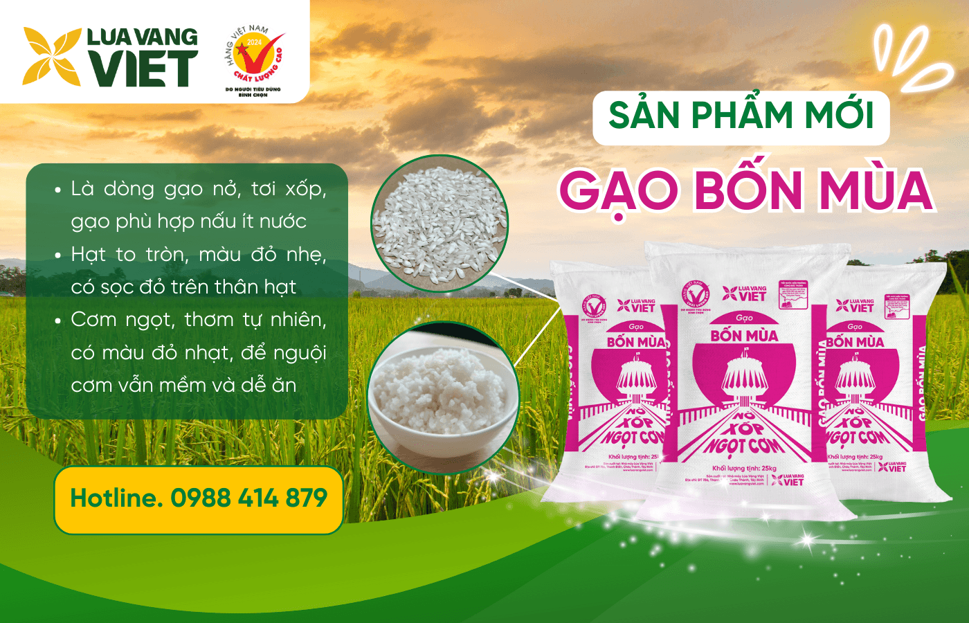 gạo bốn mùa