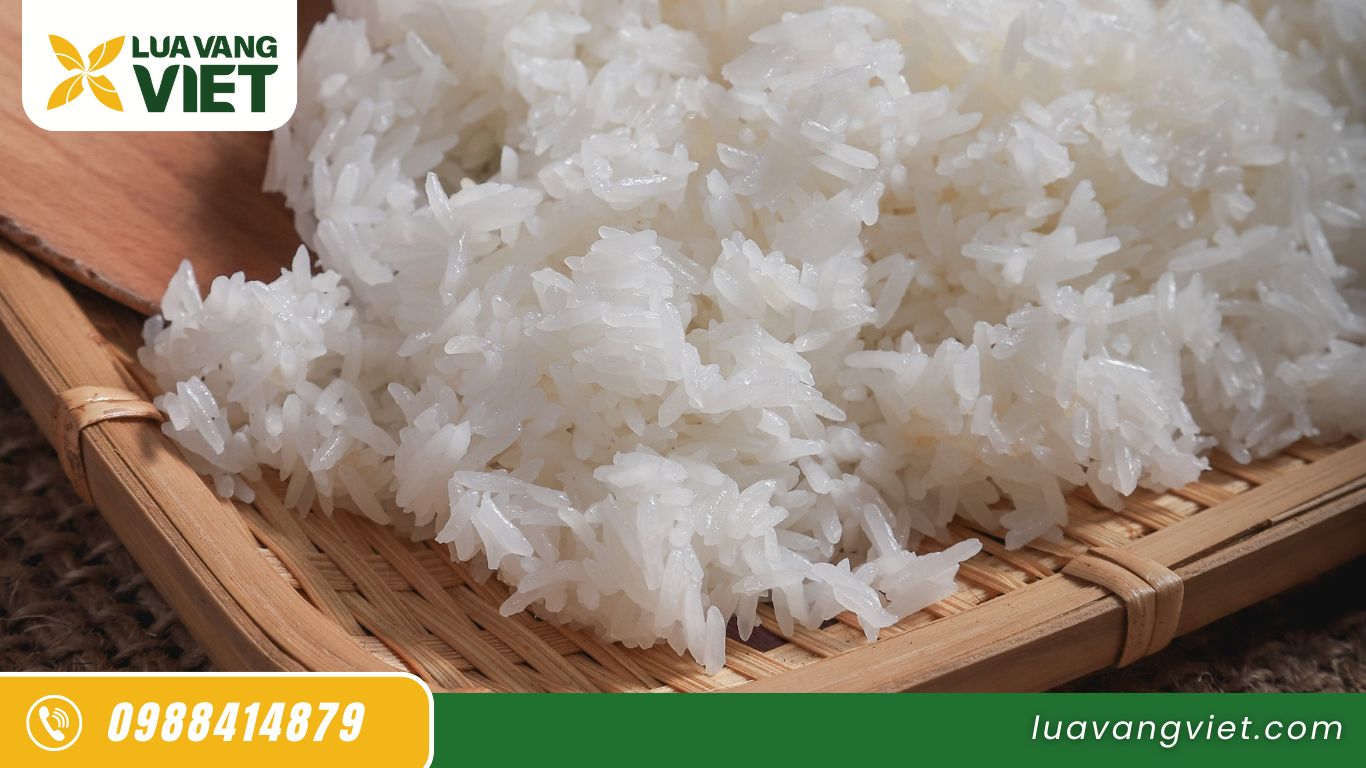Cơm gạo ST25 - Gạo ngon nhất thế giới