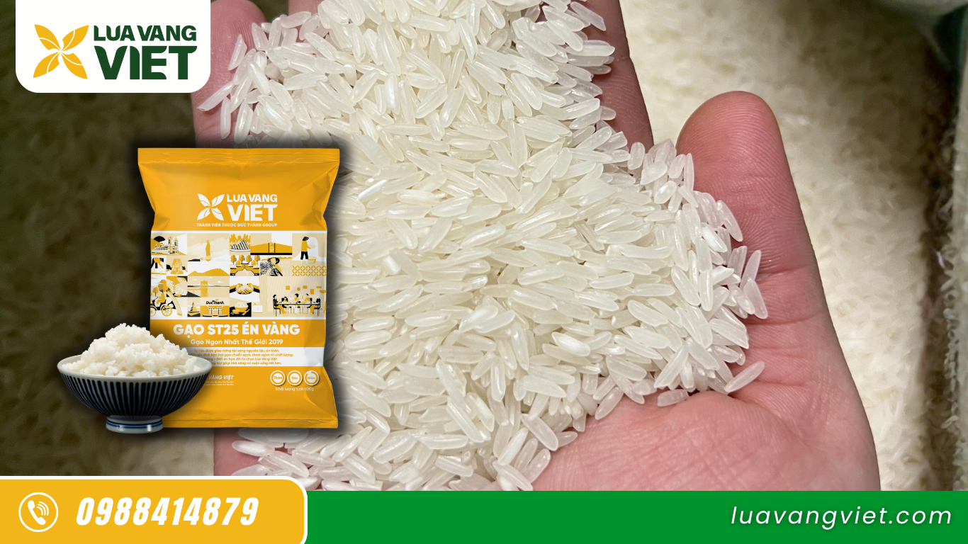 Gạo ST25 Lúa Vàng Việt