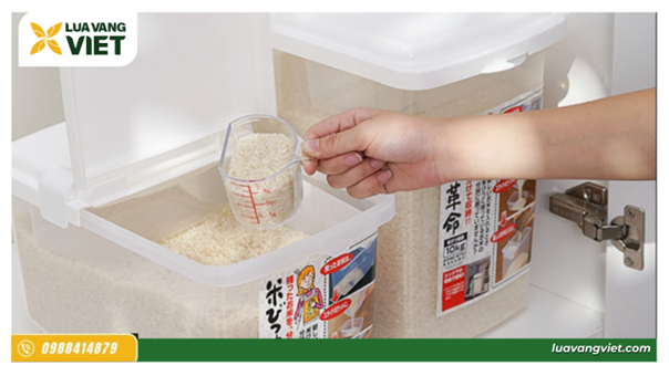 Chuyển gạo st25 vào hộp hoặc thùng đựng kín nắp