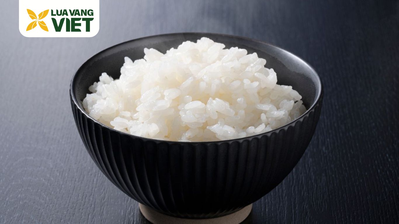 con ngon gạo st25 én vàng lúa vàng việt