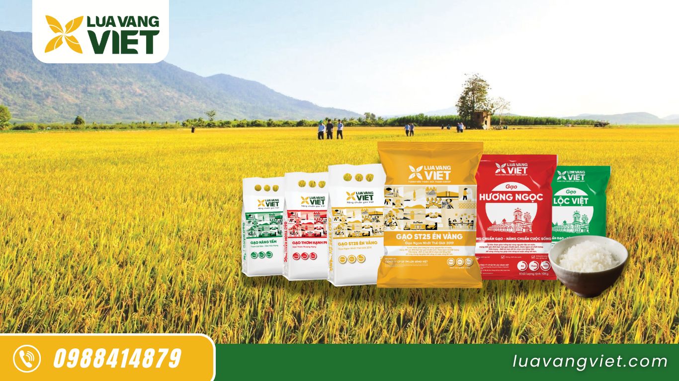 bao bì gạo st 25 én vàng lúa vàng việt