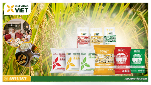 gạo lúa vàng việt