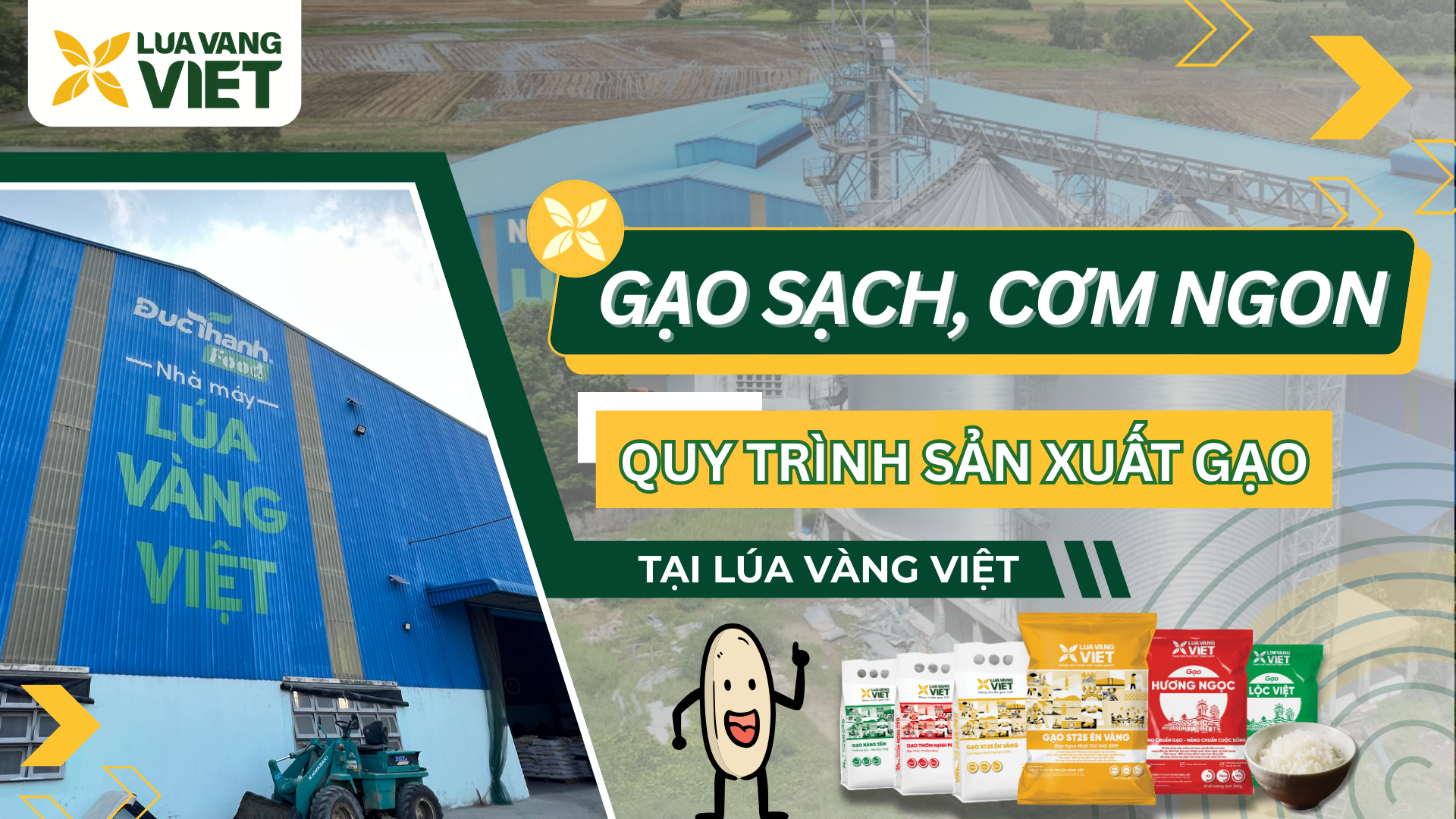 Gạo Sạch, Cơm Ngon - Quy trình sản xuất gạo tại Lúa Vàng Việt