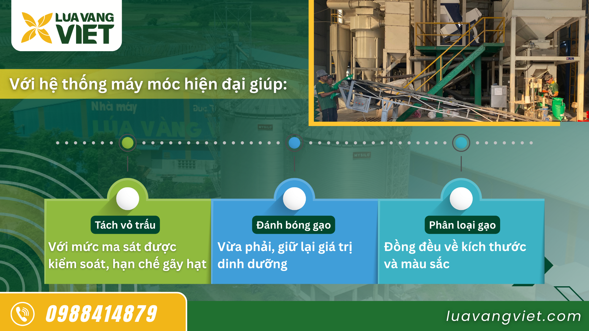 Hình 2. Quy trình lưu trữ và xay xát được thực hiện tại nhà máy đạt chuẩn