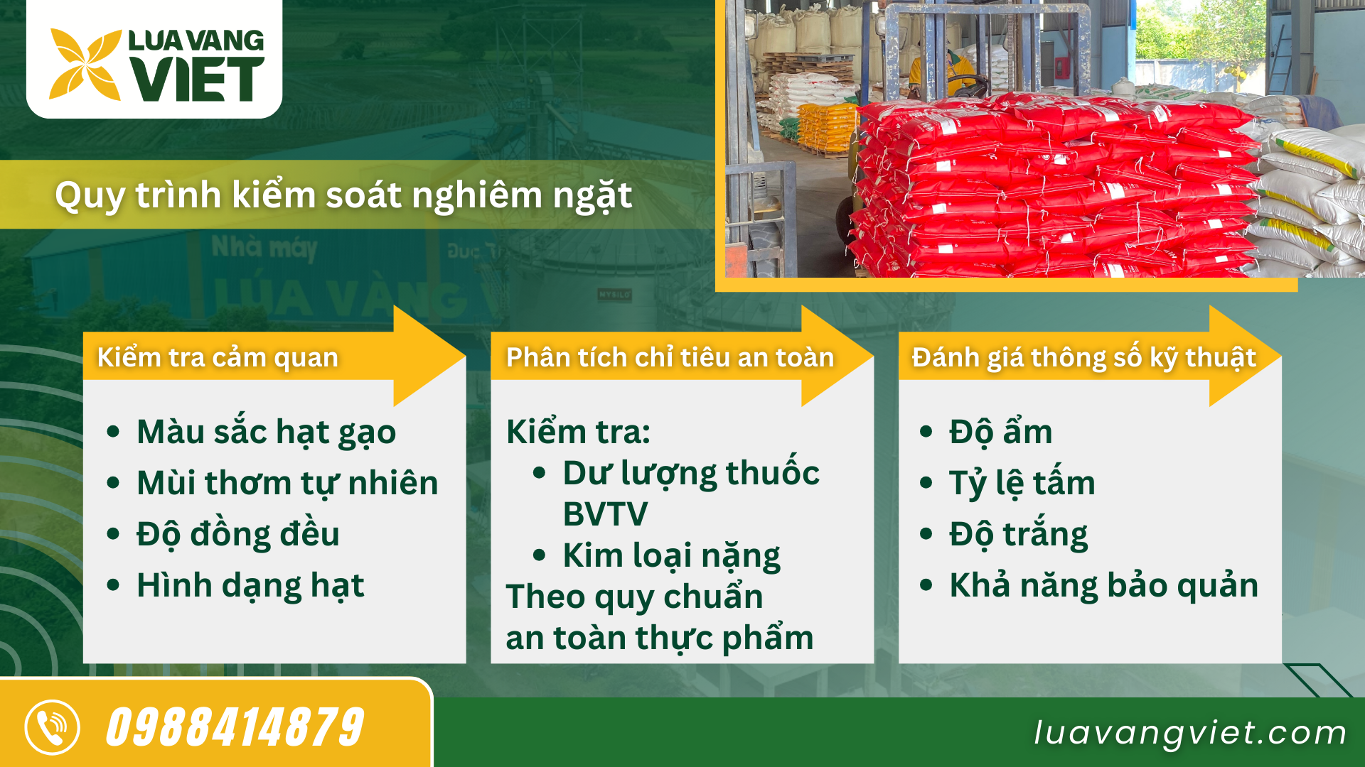 Hình 3. Quy trình kiểm soát được thực hiện nghiêm ngặt tại nhà máy gạo Lúa Vàng Việt