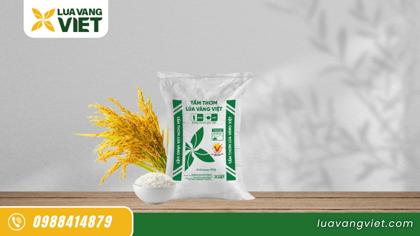 Gạo bếp ăn công nghiệp