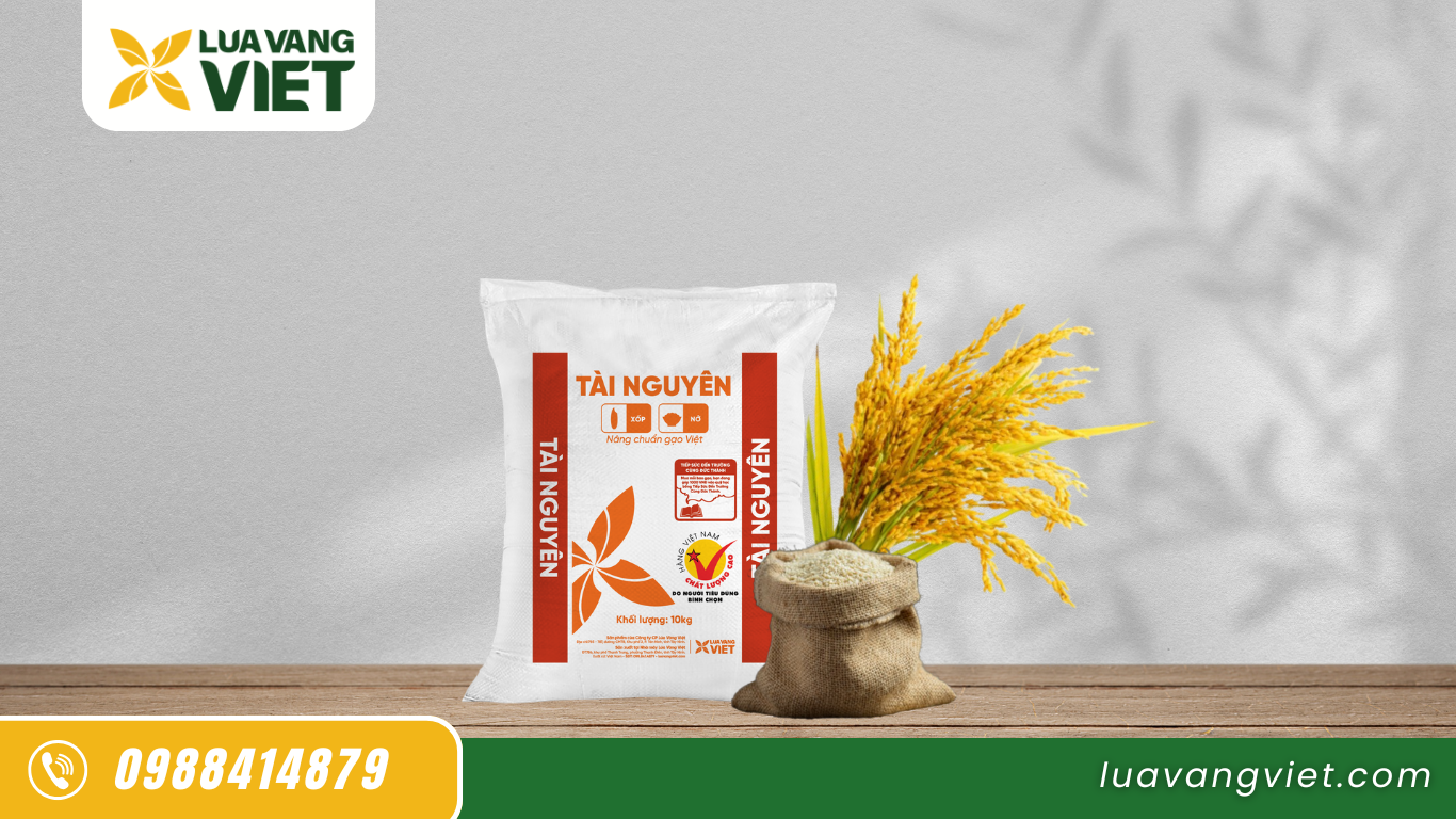 Gạo Bếp Ăn Công Nghiệp