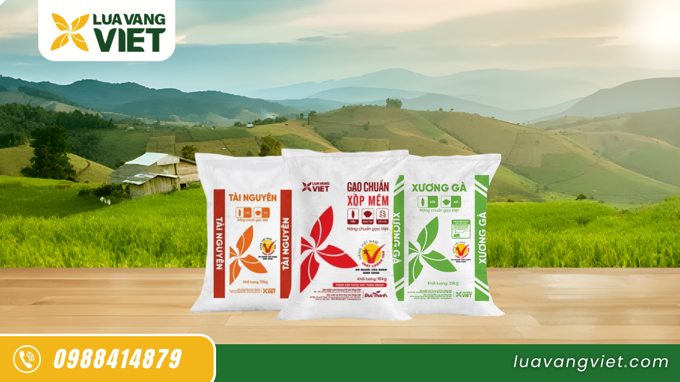 gạo bếp ăn công nghiệp