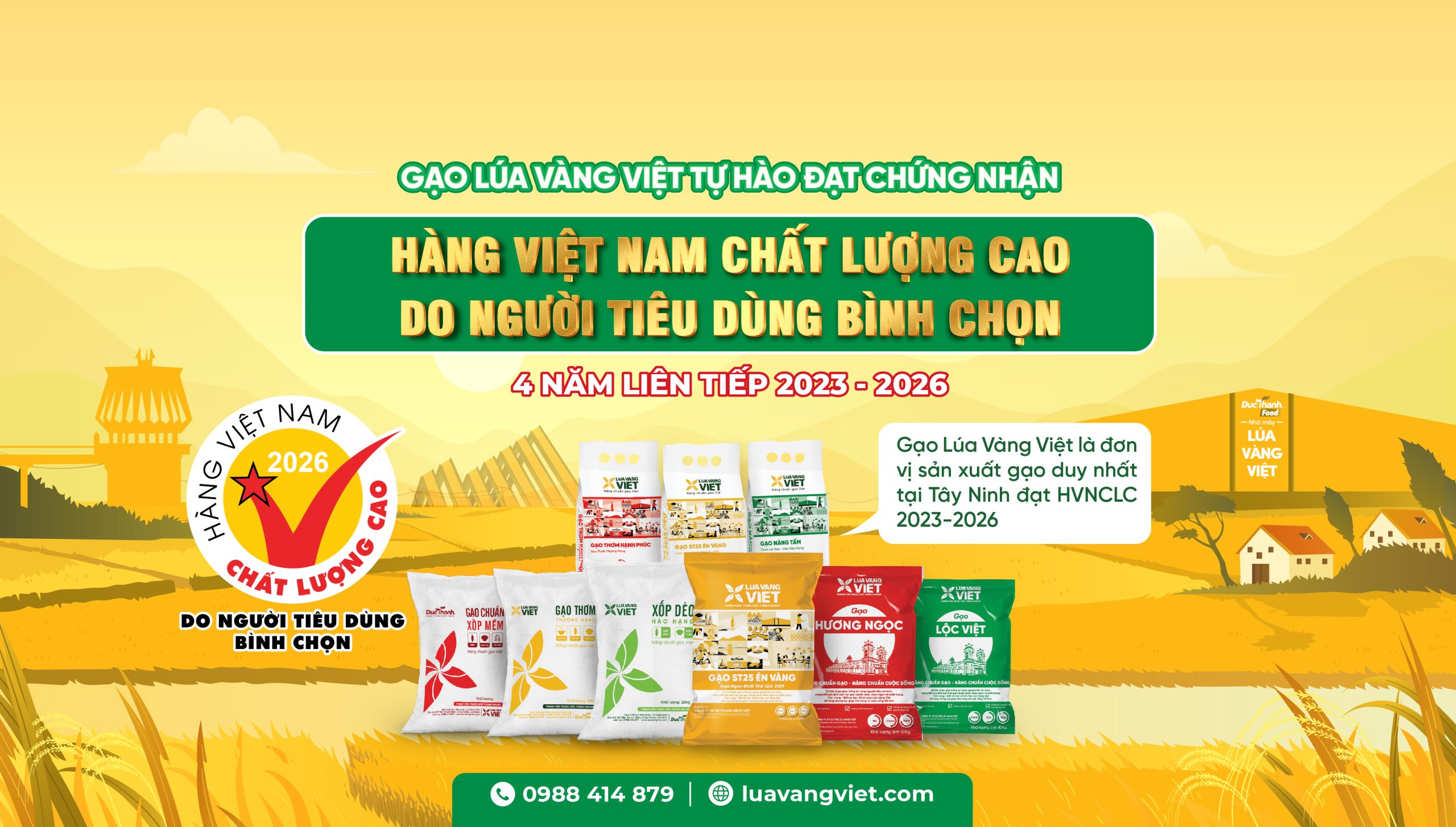 lúa vàng việt đạt hàng việt nam chất lượng cao